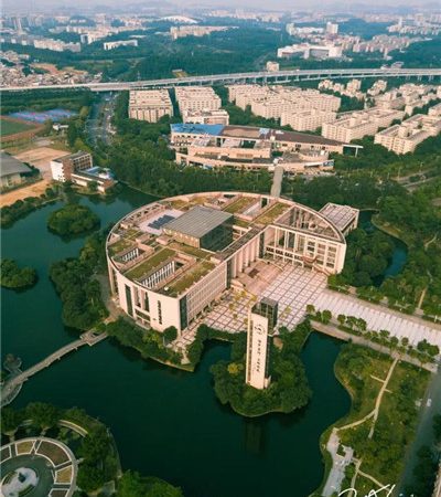 百花丛中过片叶不沾身：数元的奇妙世界